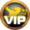 Status_vip